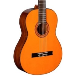 Washburn WC90PAK