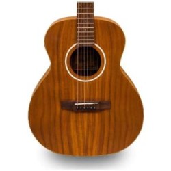 Bamboo Vision Koa 38?