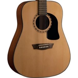 Washburn Apprentice D5