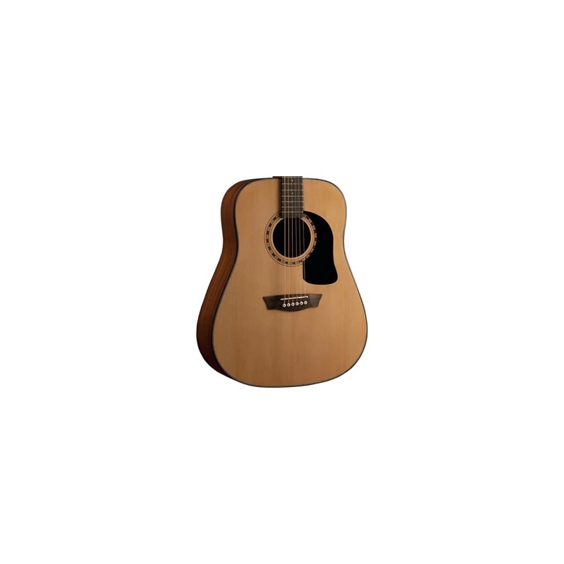 Washburn Apprentice D5