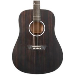 Washburn Deep Forest Ebony D