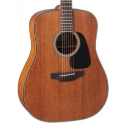 Takamine GD11M NS