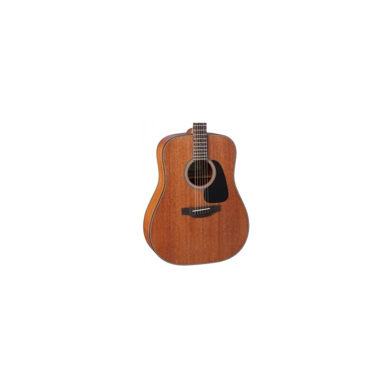 Takamine GD11M NS