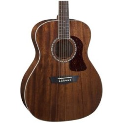 Washburn Heritage G12S