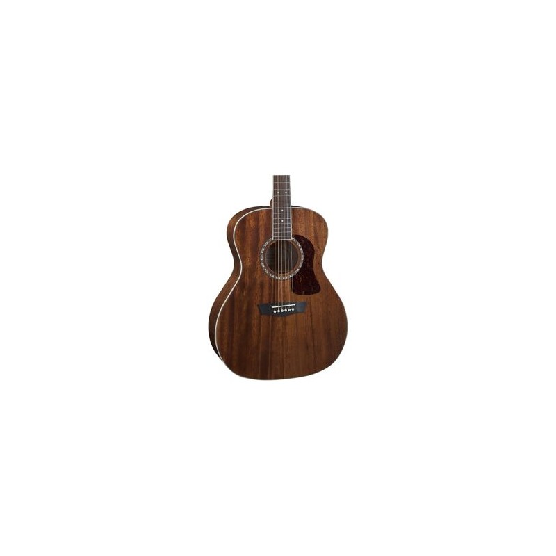 Washburn Heritage G12S