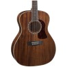 Washburn Heritage G12S
