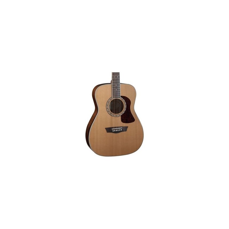 Washburn Heritage F11S