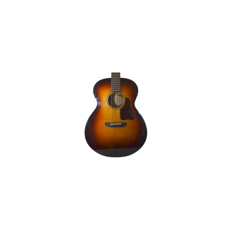 Washburn G200SWVSK